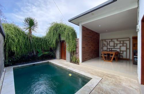 Kalianget Villa | Dolphin Tour Private Villa Packet At Seririt