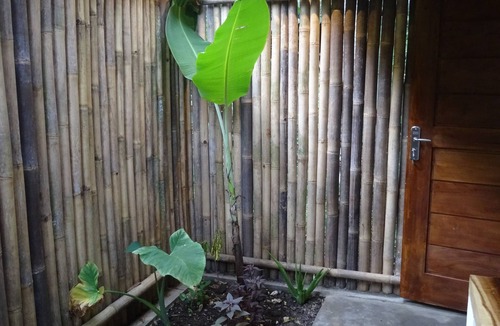 Batu Karas House | Double family bungalow at Batukaras