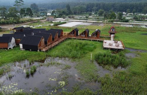 Candikuning Cabin | Dynasty Glamping Bedugul