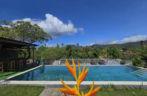 Pejarakan Hotel | Eco Moringa Garden