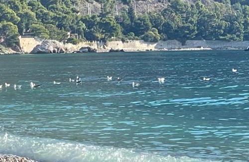 Eze Apartment | Ezevacances Studio Capuccino vue mer 5 mn plage 7 mn gare Wifi