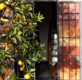 Massarosa House | Fattoria di Camporomano