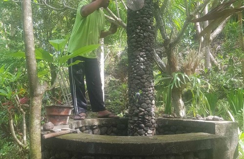Banjartegehe Villa | Garden paradise banjar/lovina