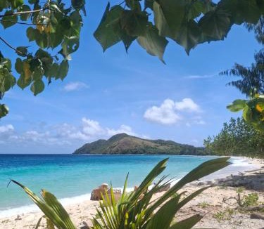 Pianemo Islands House | Gloria Dive Homestay