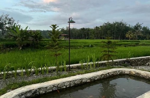 Bohorok House | Green Corner VILLA