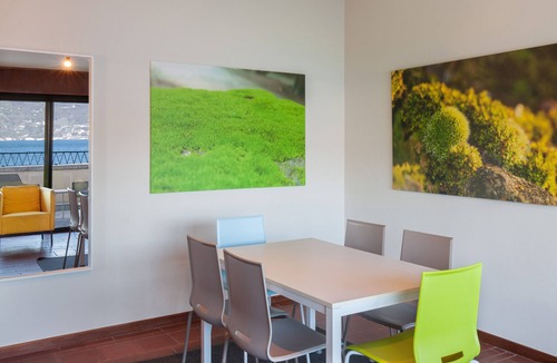 Torri del Benaco Apartment | Greenery Loft With Lake View