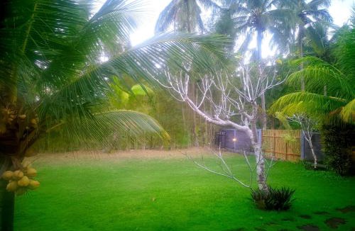 Penida Island Cabin | Griya Garden Penida