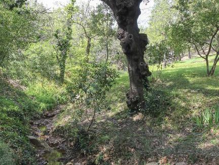 La Garde-Freinet House | Hameau de la Suyère