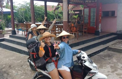 Mushroom Bay Hostel | Hostel ∙ 8 guests