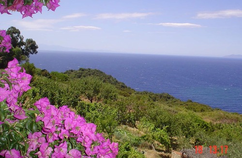 Zanca Apartment | Island of Elba in nature, unforgettable sunsets.