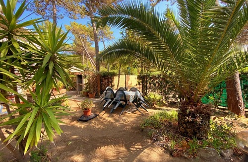Marina di Castagneto Carducci Apartment | Nice apartment in Tuscany