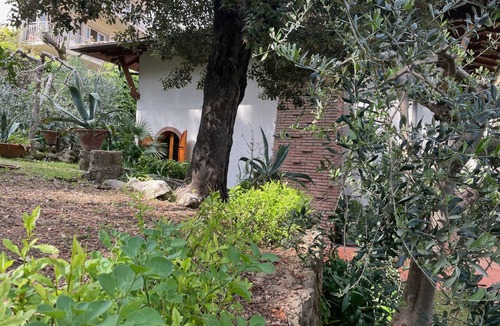 Castiglioncello Villa | Villa with park, in the pine forest by the sea in a historic seaside resort, very quiet location