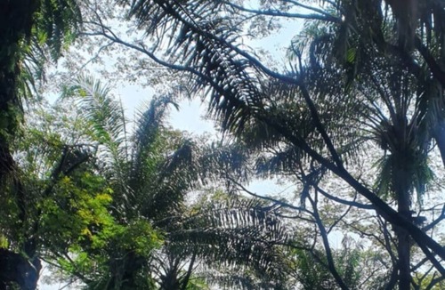 Gunung Putri House | Jakarta green suburban area