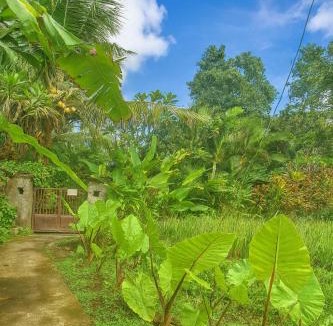 Penestanan Apartment | Jungle Hideaway Villas 4 - River Cafe