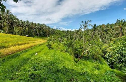 East Selemadeg Ski Chalet | JungleHavenBali - Private and Nature Stay