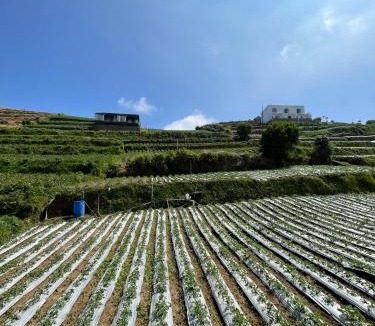 Dieng Villa | Kaffana Cabin House