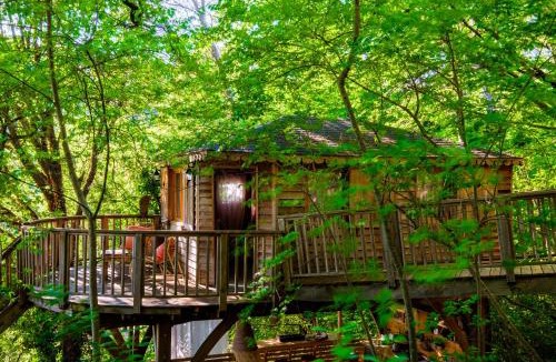 Saint-Paul-de-Vence Ski Chalet | King Louie and Mowgli
