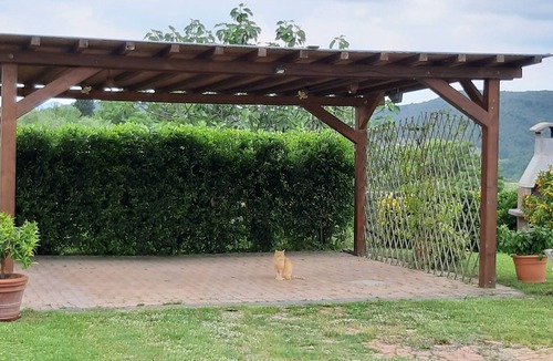 Murlo House | L'aia di Maria, holiday home in the Tuscan hills