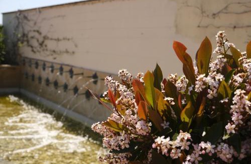 Porto Potenza Picena Hotel | L'Antico Uliveto