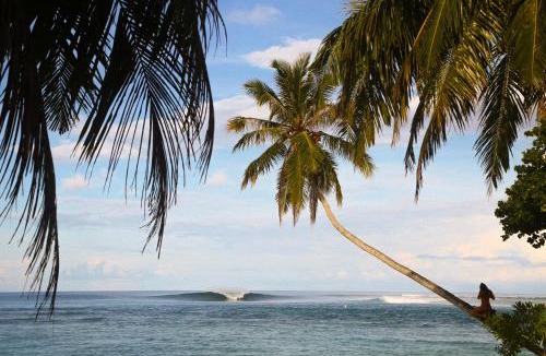 Katiet Resort | La Belle Hollow Trees