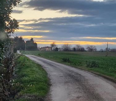 Sant'Elpidio a Mare Apartment | La casa di Mariasole
