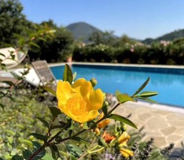 Vicopelago House | La Casa Gialla