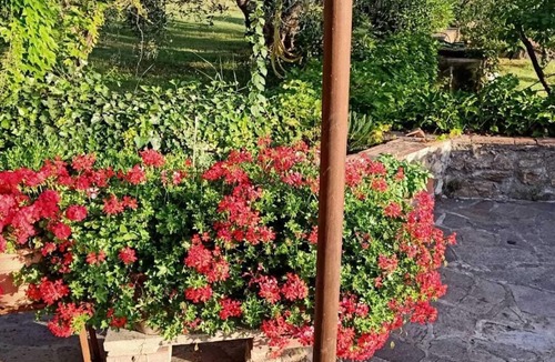 Campiglia Marittima House | La Casa Magica 2