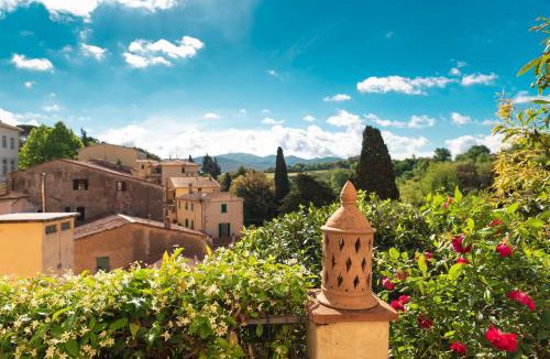 Bibbona Bed & Breakfast | La Casa nel Borgo