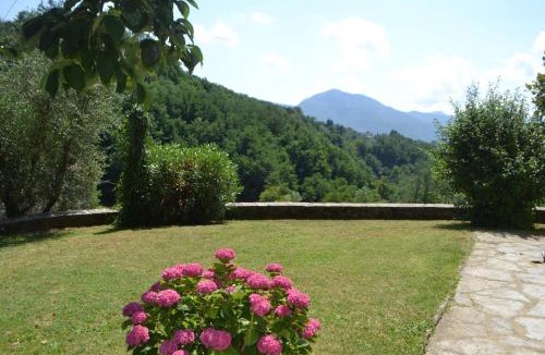 Barga House | La Limonaia di Casagrande