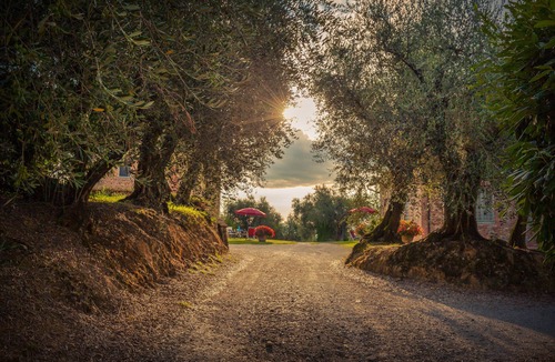 Montecarlo Villa | La Principessa Tuscan farmhouse with pool on wine road of Montecarlo-Lucca