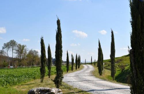 Siena Apartment | Le Scuderie del Palio Agriturismo