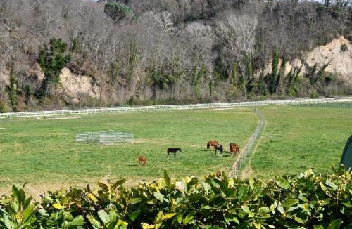 Siena Apartment | Le Scuderie del Palio Agriturismo
