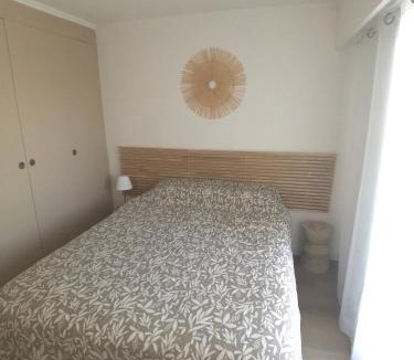 Cros-de-Cagnes Apartment | Lido, private apartment seaside, parking, swimming pool