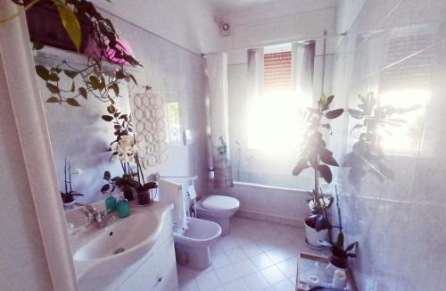 Lucca House | Luce
