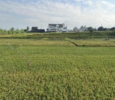 Kediri House | Lumbung Kembar Guest House, Nyanyi