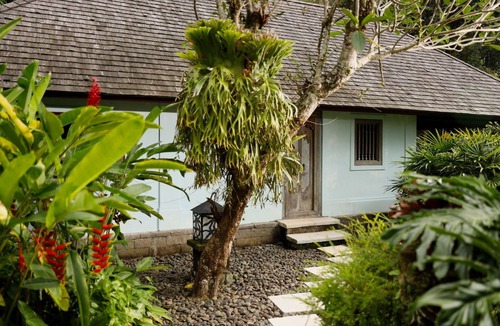 Kedewatan Villa | Luscious Tropical 3 Bedroom Villa, Ubud
