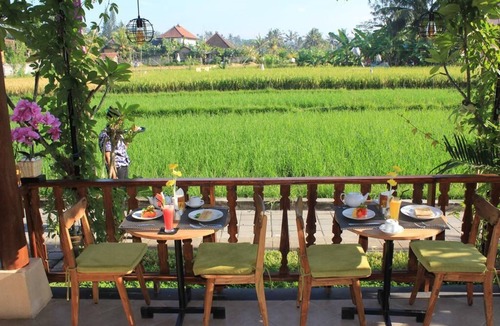 Penestanan Villa | Luxury 2 BR Private Pool Vila Nice Paddies Field View
