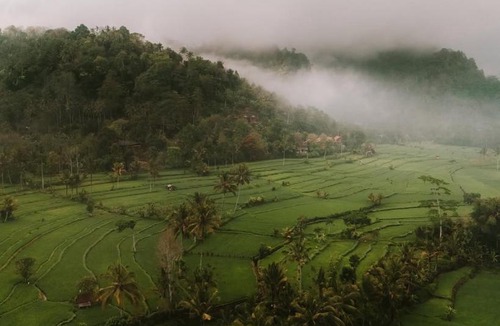 Selat Villa | Luxury Sawah Bamboo House - Kosay Bali