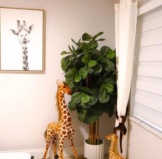 Orlando Ski Chalet | M&H Oasis