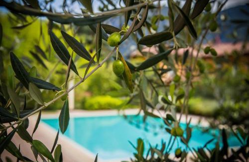 Visgnola Apartment | Maison Casa Lavanda
