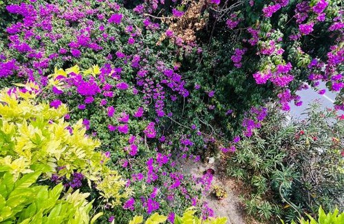 Grasse House | Maison parfumeur Grasse