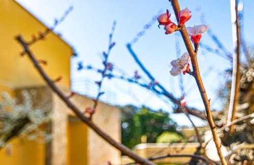 Livorno Villa | Marelì - magnifica villa con piscina