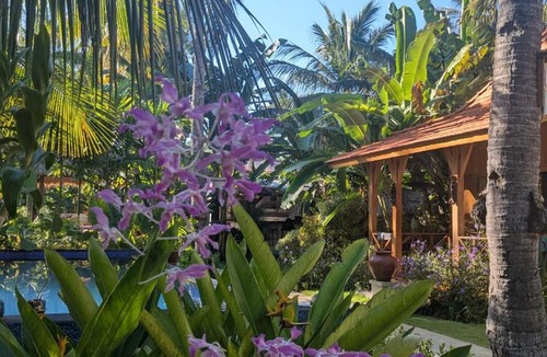 Gili Trawangan Resort | mata villas gili trawangan