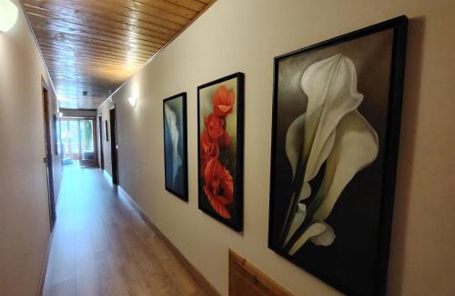 Sauris di Sotto Hotel | Meublè Siesle