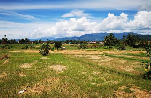 Padang Bed & Breakfast | Mila Homestay
