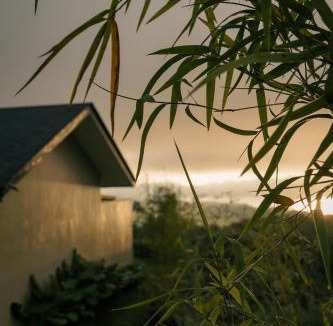 Kintamani Hotel | Mount Valley Inn