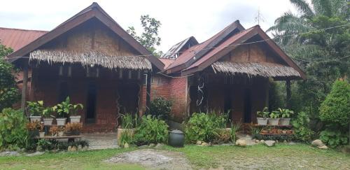 Batang Serangan Hotel | Mountain View Cottages & Villa Tangkahan