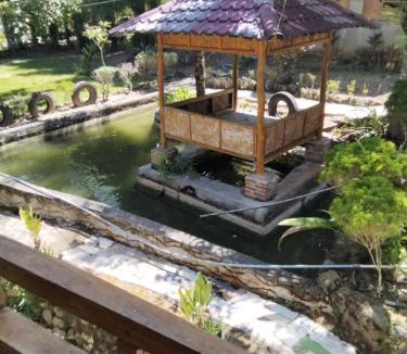 Bohorok Apartment | New orchid