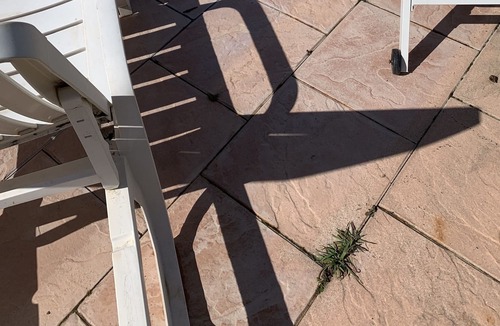 Contes Apartment | Nice 2 room apartment renovated on the ground floor of a house with swimming pool and exterior