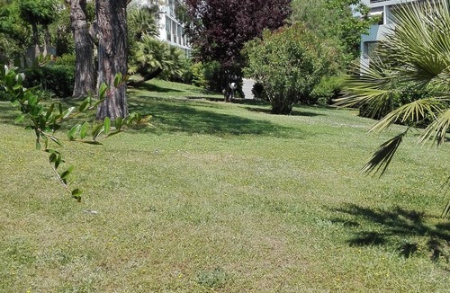 Plaine de la Brague Apartment | Nice studio. Beautiful location. Nearby sea. Private parking. Swim.Pool. Tennis